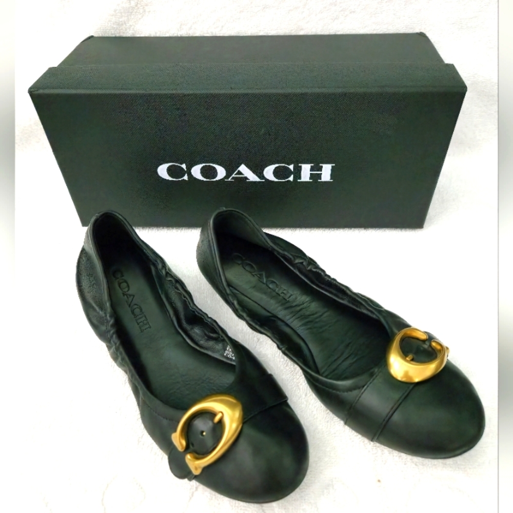 Coach Stanton Ballet